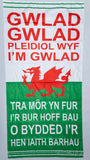 Wales - Land of my Fathers