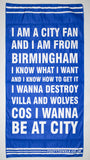 Birmingham City fan