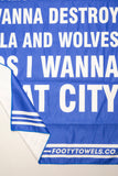 Birmingham City fan